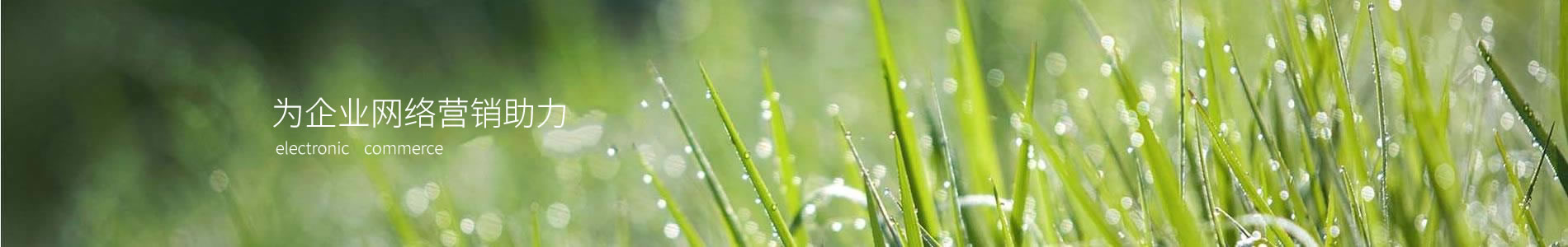 ڻչƼ޹˾